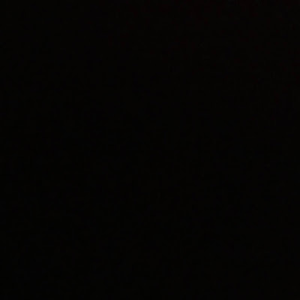 Meet your Posher, Janie